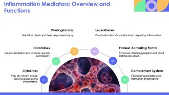Pathophysiology Of Inflammation And Cellular Injury Explained PPT Information AT Attractive Good