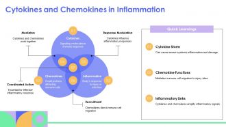 Pathophysiology Of Inflammation And Cellular Injury Explained PPT Information AT Graphical Good