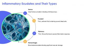 Pathophysiology Of Inflammation And Cellular Injury Explained PPT Information AT Engaging Good