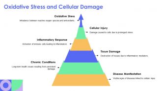 Pathophysiology Of Inflammation And Cellular Injury Explained PPT Information AT Slides Unique