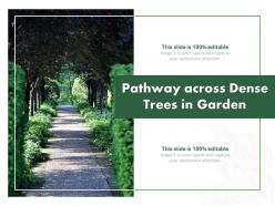 Pathway across dense trees in garden