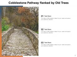 Pathway Cobblestone Diverging Mountain Traveler Introspecting