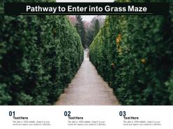 Pathway to enter into grass maze