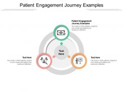 Patient engagement journey examples ppt powerpoint presentation icon model cpb