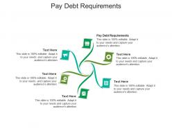 Pay debt requirements ppt powerpoint presentation pictures visuals cpb