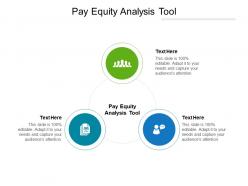 Pay equity analysis tool ppt powerpoint presentation summary rules cpb