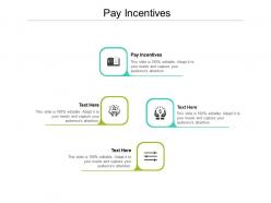 Pay incentives ppt powerpoint presentation ideas background images cpb