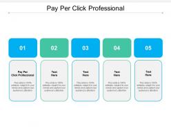 Pay per click professional ppt powerpoint presentation styles graphic images cpb