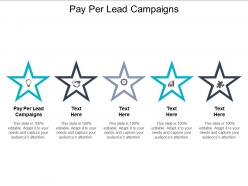 Pay per lead campaigns ppt powerpoint presentation show guidelines cpb