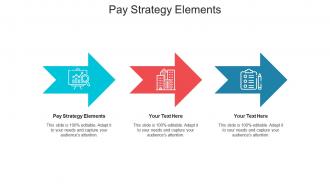 Pay strategy elements ppt powerpoint presentation infographics maker cpb