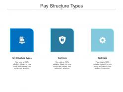 Pay structure types ppt powerpoint presentation show graphics design cpb