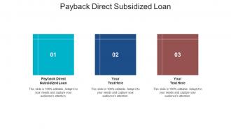 Payback direct subsidized loan ppt powerpoint presentation layouts skills cpb