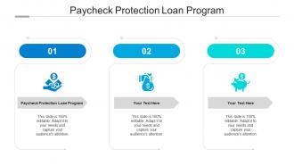 Paycheck protection loan program ppt powerpoint presentation gallery structure cpb
