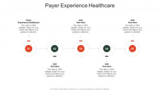 Payer Experience Healthcare In Powerpoint And Google Slides Cpb