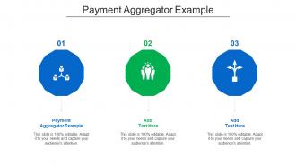 Payment Aggregator Example Ppt Powerpoint Presentation Model Cpb