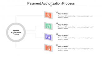Payment Authorization Process Ppt Powerpoint Presentation Infographics Display Cpb