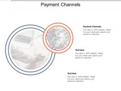 Payment channels ppt powerpoint presentation gallery example introduction cpb