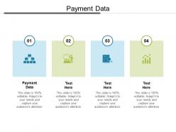 Payment data ppt powerpoint presentation model examples cpb