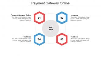 Payment gateway online ppt powerpoint presentation layouts example cpb