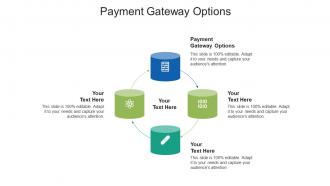 Payment gateway options ppt powerpoint presentation styles example introduction cpb