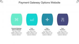 Payment gateway options website ppt powerpoint presentation ideas graphic tips cpb