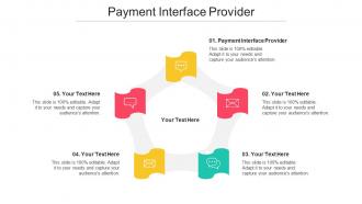 Payment Interface Provider Ppt Powerpoint Presentation Rules Cpb