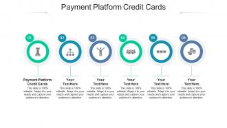Payment platform credit cards ppt powerpoint presentation slides portrait cpb