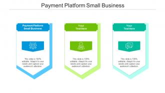 Payment platform small business ppt powerpoint presentation pictures gridlines cpb