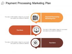 Payment processing marketing plan ppt powerpoint presentation portfolio graphics download cpb