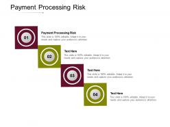 Payment processing risk ppt powerpoint presentation layouts brochure cpb