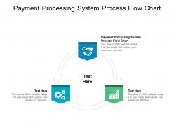 Payment processing system process flow chart ppt powerpoint presentation infographics portrait cpb