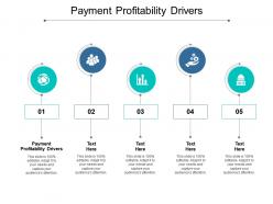 Payment profitability drivers ppt powerpoint presentation show guide cpb