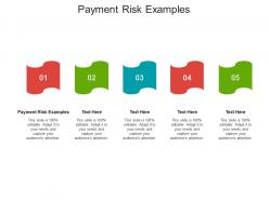 Payment risk examples ppt powerpoint presentation model visual aids cpb