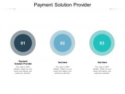 Payment solution provider ppt powerpoint presentation styles deck cpb