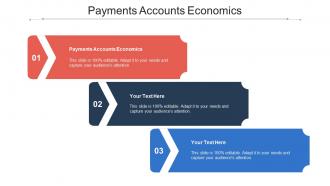 Payments accounts economics ppt powerpoint presentation icon rules cpb