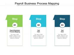 Payroll business process mapping ppt powerpoint presentation styles infographics cpb