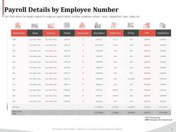 Payroll details by employee number ppt icon inspiration