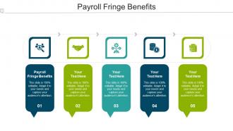 Payroll Fringe Benefits Ppt Powerpoint Presentation Gallery Display Cpb