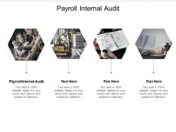 Payroll internal audit ppt powerpoint presentation file skills cpb