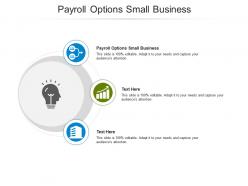 Payroll options small business ppt powerpoint presentation professional templates cpb