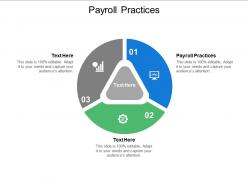 Payroll practices ppt powerpoint presentation slides guidelines cpb