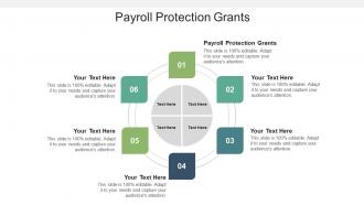 Payroll protection grants ppt powerpoint presentation model picture cpb