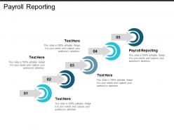 Payroll reporting ppt powerpoint presentation icon infographic template cpb