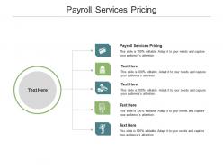 Payroll services pricing ppt powerpoint presentation layouts outfit cpb