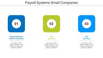 Payroll Systems Small Companies Ppt PowerPoint Presentation Icon Clipart Cpb