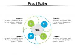 Payroll testing ppt powerpoint presentation professional inspiration cpb