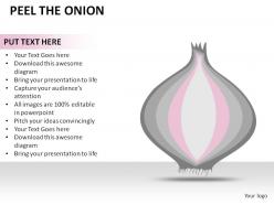 Peel the onion powerpoint presentation slides