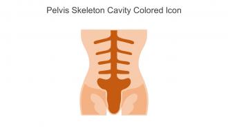 Pelvis Skeleton Cavity Colored Icon In Powerpoint Pptx Png And Editable Eps Format