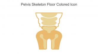 Pelvis Skeleton Floor Colored Icon In Powerpoint Pptx Png And Editable Eps Format