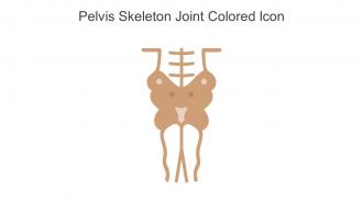 Pelvis Skeleton Joint Colored Icon In Powerpoint Pptx Png And Editable Eps Format